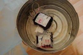 Дайте крови!