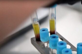 Біотехнології як шанс для української економіки
                        Актуально