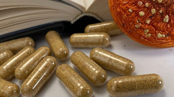 «Мікродозинг не чарівна пілюля»: чому люди шукають покращення психічного стану в грибах і які ризики цього тренду