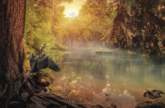 Значення імені Вілена: Відкрийте таємниці та символіку жіночого імені Вілена