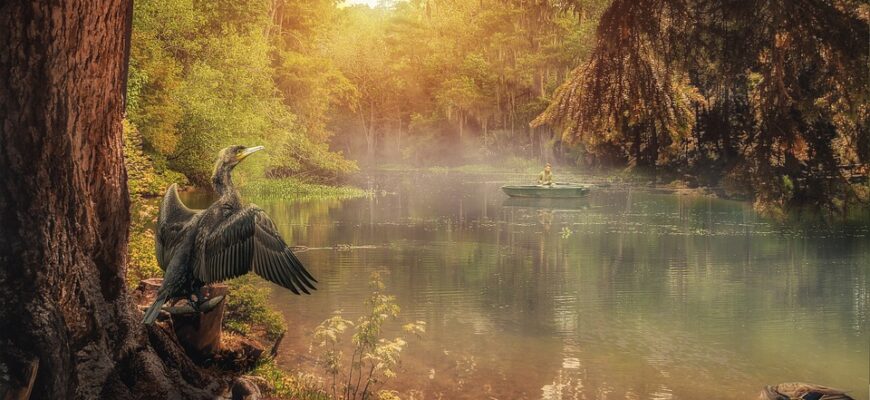 Значення імені Вілена: Відкрийте таємниці та символіку жіночого імені Вілена