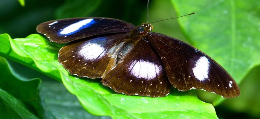 Значення імені Ніна: Всі Таємниці та Властивості Імені Ніна