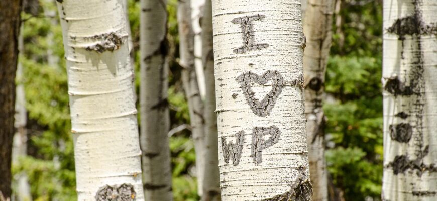 Значення імені Ядвіга: Відкрийте таємниці, символіку та особливості популярності