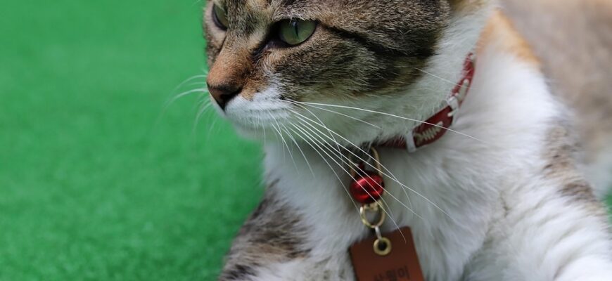 Значення імені Єва: Відкрийте Глибокий Сенс та Історію Цього Чарівного Імені