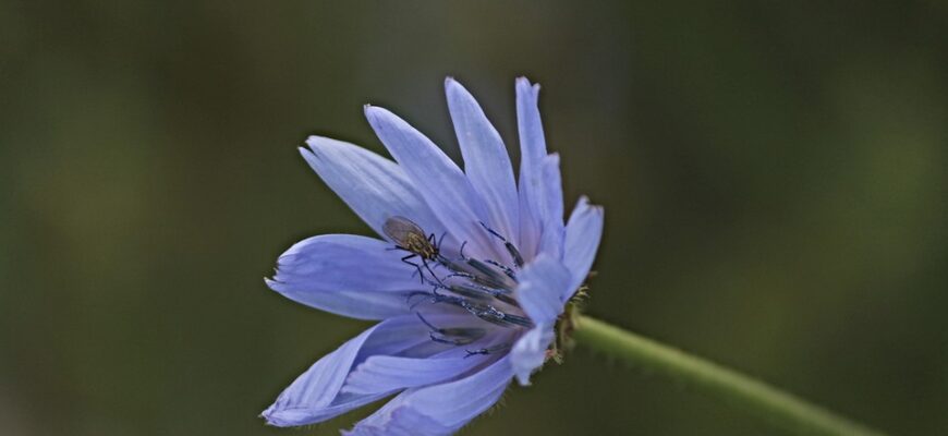 Значення імені Олександра: Відкрийте таємниці імені та його вплив на характер