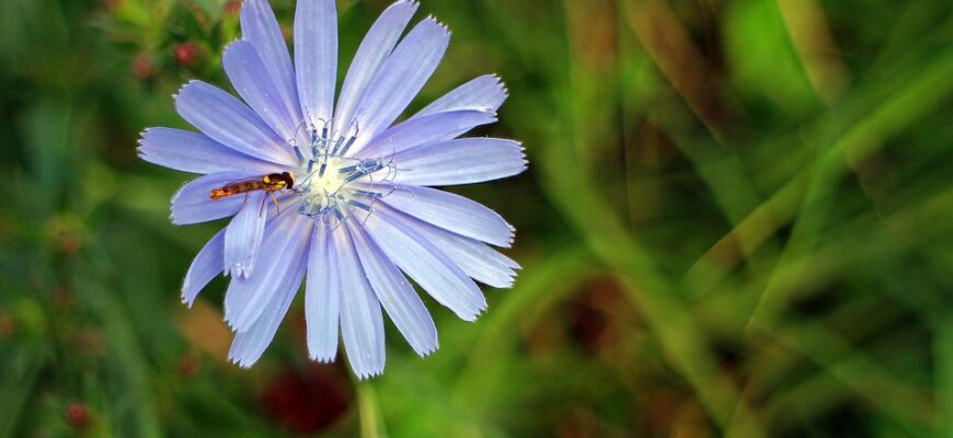 Значення імені Космос: Відкрийте таємниці та позитивні аспекти цього унікального імені