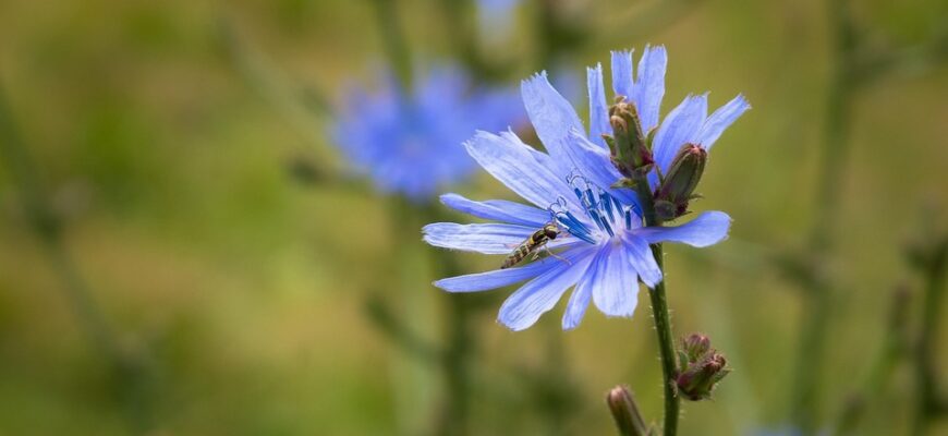 Значення імені Баграт: Глибокий сенс та походження цього унікального імені