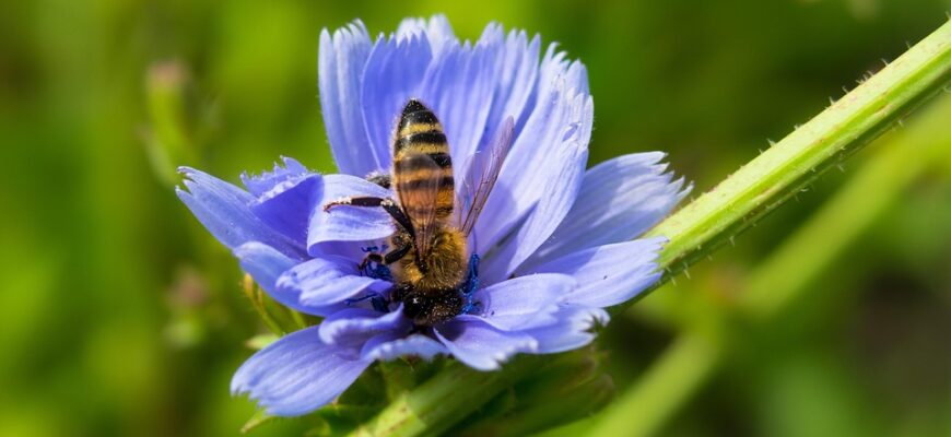 Значення імені Демид: Відкрийте таємниці та символіку цього популярного імені