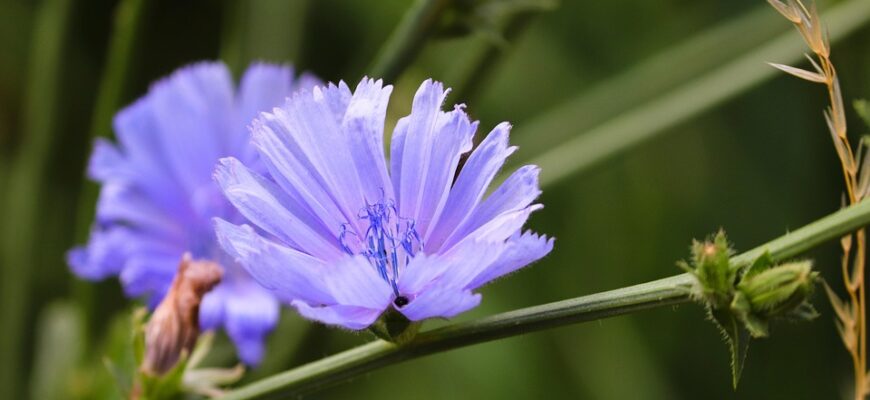 Значення імені Юрій: Стародавні корені та сучасне сприйняття