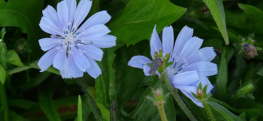 Значення імені Тимофій: Відкрийте таємниці цього унікального імені