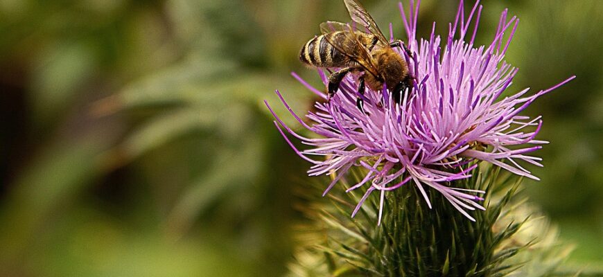 Значення імені Максим: Відкрийте таємниці та особливості цього популярного імені