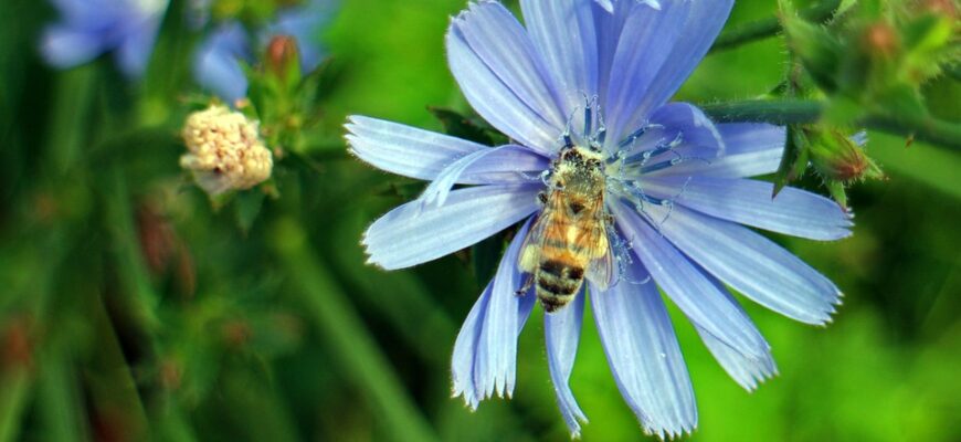 Значення імені Лаура: Відкрийте таємниці, які стоять за цим красивим іменем