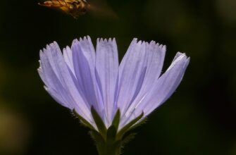 Значення імені Севастян: Таємниці, Происхождення та Вплив на Характер