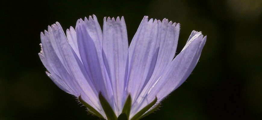 Значення імені Карина: Відкрийте таємниці та символіку популярного імені