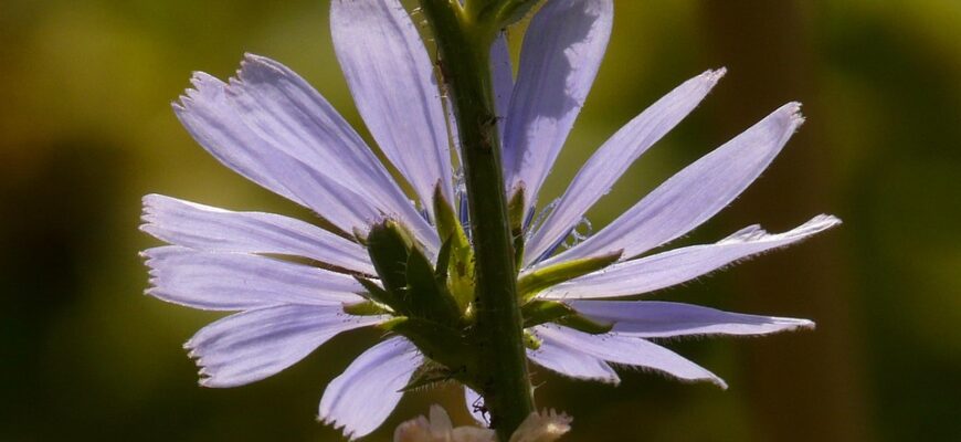 Значення імені Лінар: Відкрийте таємниці та особливості цього унікального імені