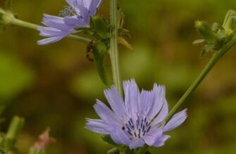 Значення імені Богдана: Відкрийте таємниці походження та характеристик!