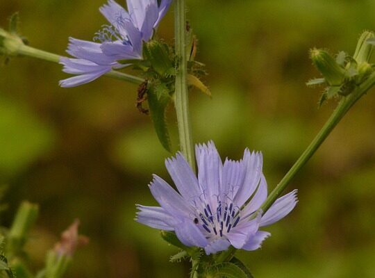 Значення імені Богдана: Відкрийте таємниці походження та характеристик!