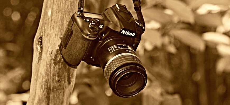 Значення імені Елізабет: Відкрийте глибокий сенс та історію цього унікального імені