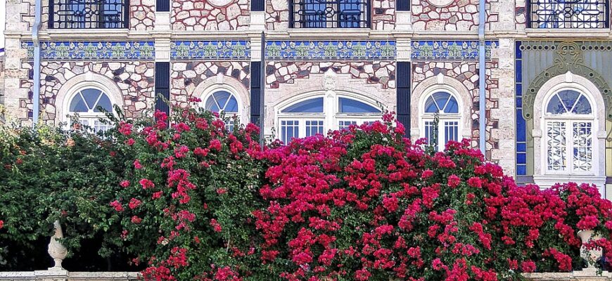 Значення імені Ясміна: Відкрийте магію і символіку цього прекрасного імені