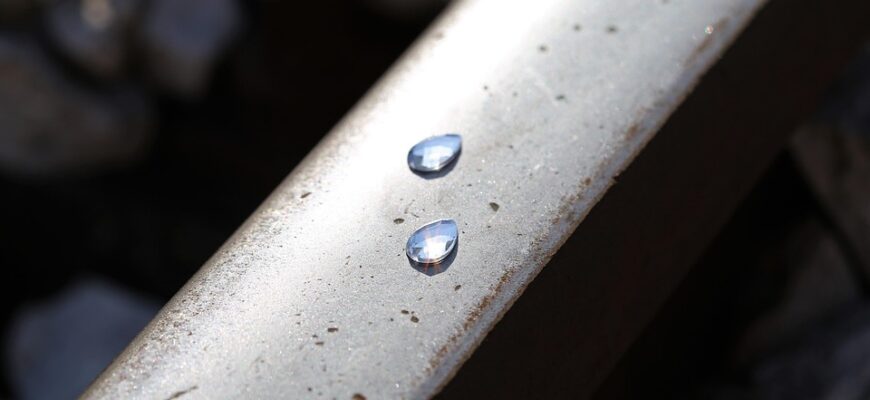 Значення імені Наргіз: Розкриваємо таємниці та символіку цього унікального імені