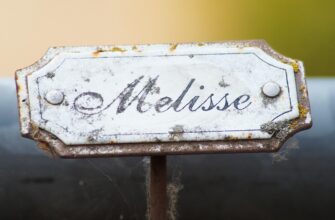 Значення імені Бахтіяр: розкрийте таємниці та походження цього унікального імені