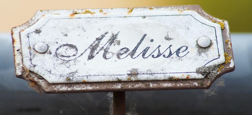 Значення імені Бахтіяр: розкрийте таємниці та походження цього унікального імені