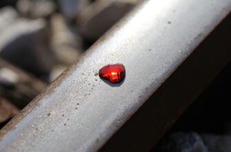 Значення імені Поліна: Як це ім’я впливає на характер та долю