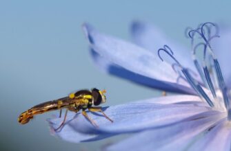 Значення імені Юстин: Відкрийте Таємниці та Витоки Цього Величного Імені