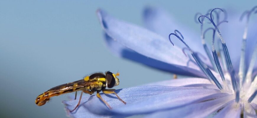 Значення імені Юстин: Відкрийте Таємниці та Витоки Цього Величного Імені
