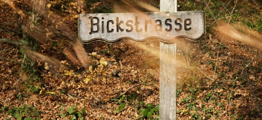 Значення імені Ніка: Відкрийте Секрети Енергії та Характеру