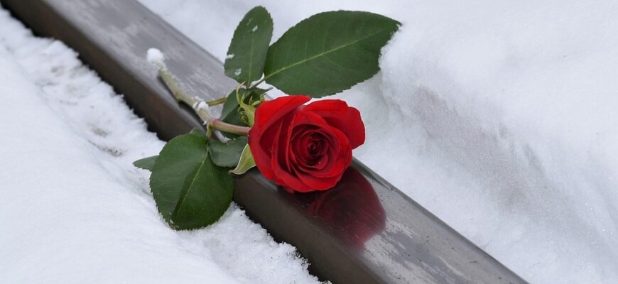 Значення імені Есмира: Відкрийте приховану суть та характеристики цього прекрасного імені