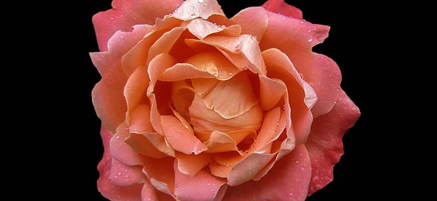 Значення імені Агата: Відкрийте таємниці імені та його вплив на долю