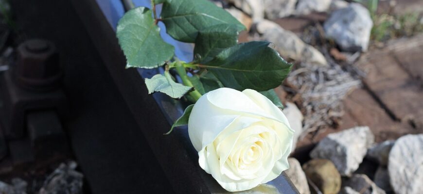 Значення імені Нелей: Все, що потрібно знати про походження та сенс