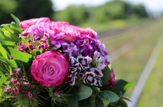 Значення імені Земфіра: Що символізує це особливе ім'я?