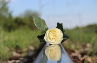 Значення імені Леонтій: Таємниці, походження та характеристики