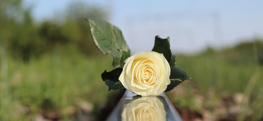 Значення імені Леонтій: Таємниці, походження та характеристики