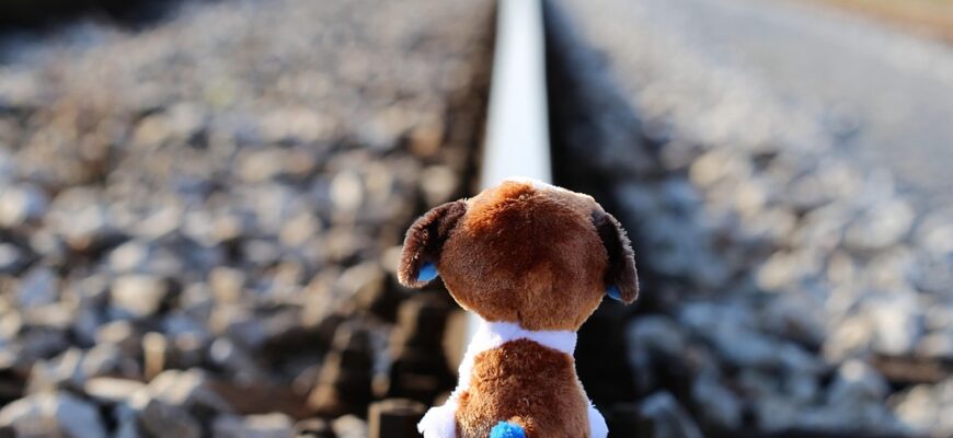 Значення імені Лейла: Відкрийте глибину та красиву символіку цього імені