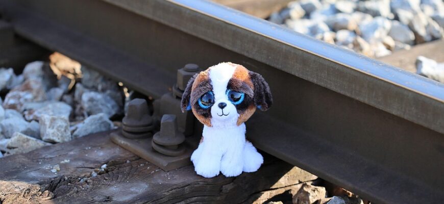 Значення імені Світозар: Витоки, особливості та значення для життя