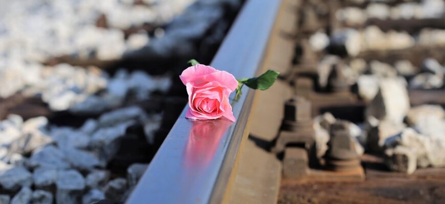 Значення імені Джамал: Відкрийте для себе глибокі корені та символіку вашого імені