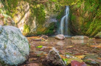Значення імені Зара: Все, що потрібно знати про його походження та символіку
