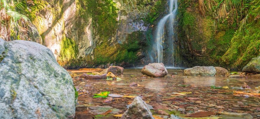 Значення імені Зара: Все, що потрібно знати про його походження та символіку