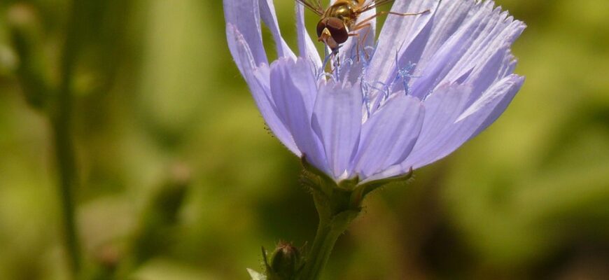 Значення імені Зухра: Енергія, Краса та Унікальність