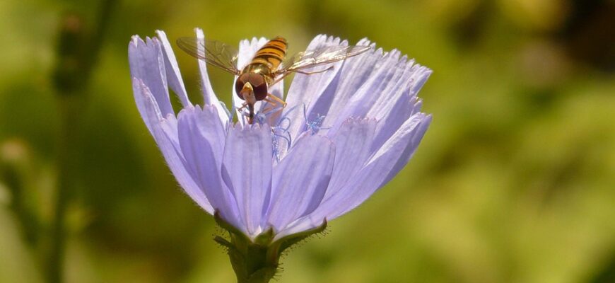Значення імені Юлій: Відкрийте таємниці імені Юлій і його вплив на характер