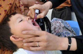 Перші ластівки з неєвропейського майбутнього