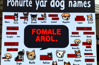 Імена для собак хлопчиків: 50 Унікальних Варіантів для Вашого Чотириногого Друга