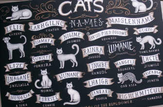 Рідкісні імена для котів: 30 унікальних варіантів, які ви не знайдете в інших списках!