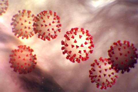 Без корони. Хто такі віруси та звідки вони з’являються?