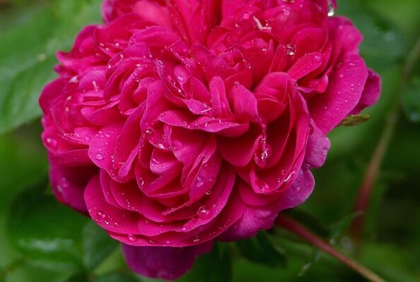 врешті решт