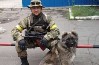 "Панічно боявся везти сина в Україну, тому що саме тут його скалічили»