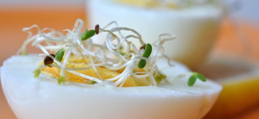 люцерна користь і шкода